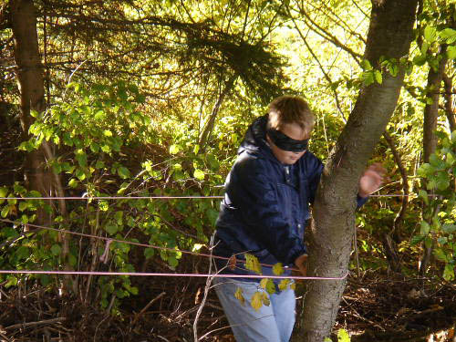 Bild 060