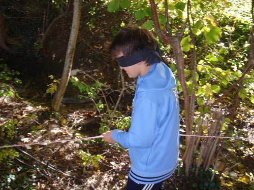 Bild 063
