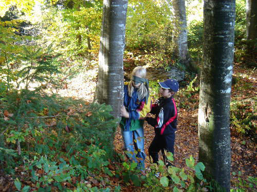 Bild 065