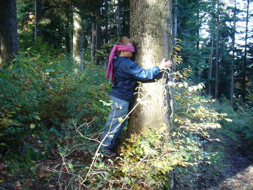 Bild 066
