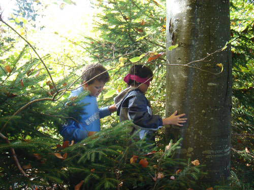 Bild 067