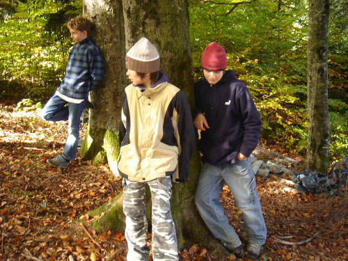 Bild 070