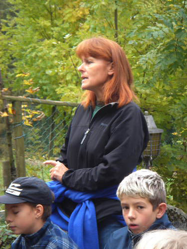 Bild 087