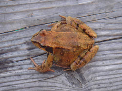 Bild 090
