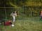 Bild 047