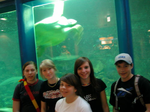 Wienwoche 4a Foto 14