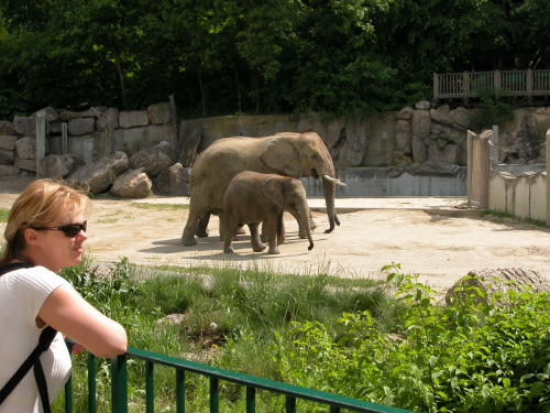 Wienwoche 4a Foto 24
