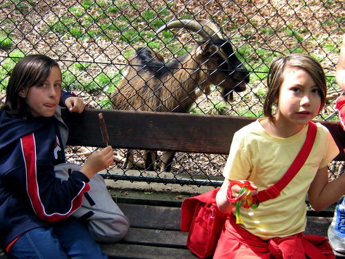 Exkursion-Wildpark 08