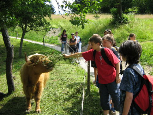 Landwoche 3b - Faak - Bild 20