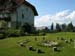 Landwoche 3b - Faak - Bild 56