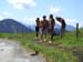 Wandertag 3a - Bild59