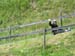 Wandertag 3a - Bild81