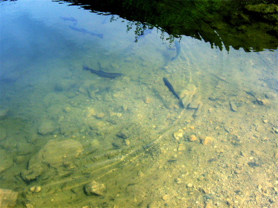 Ausflug-Muttersberg 29.05.2008 Foto 33