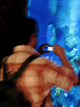 SeaLife013