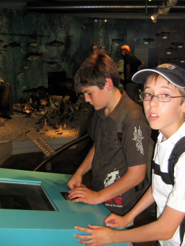 SeaLife037