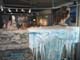 SeaLife042