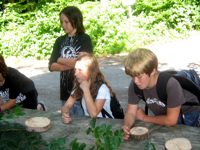 Waldspiele 2ab - Bild 06