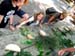 Waldspiele 2ab - Bild 05
