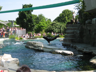 Wien 08 015