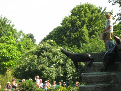 Wien 08 016
