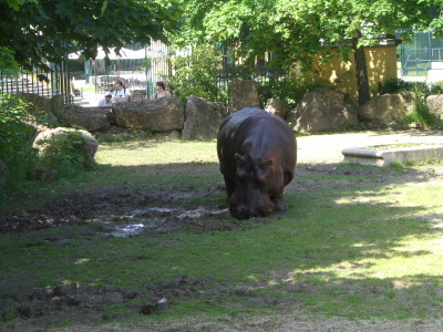 Wienwoche110