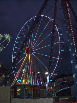 Wienwoche238