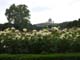 Wienwoche181