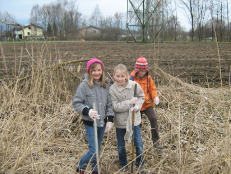Landschaftsreinigung - Foto 03