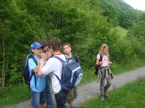 Mellau - Bild 002