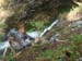 Mellau - Bild 049
