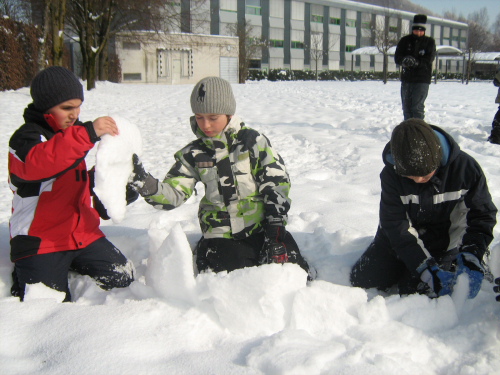 Im Schnee - Bild 01