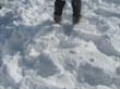 Im Schnee - Bild 09