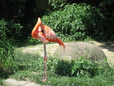 Wien - Bild 127