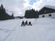 Wintersportwoche - Foto 77