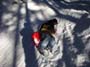 Wintersporttag - Bild 100