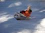 Wintersporttag - Bild 101