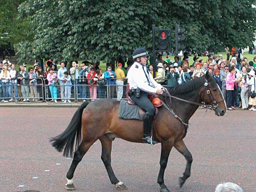 England 2004 Foto 080