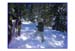 Bild21
